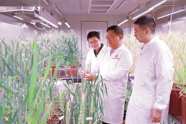 配资开户 潍坊峡山：一座农业科技“硅谷”的人才集聚密码