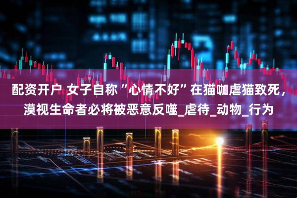 配资开户 女子自称“心情不好”在猫咖虐猫致死，漠视生命者必将被恶意反噬_虐待_动物_行为