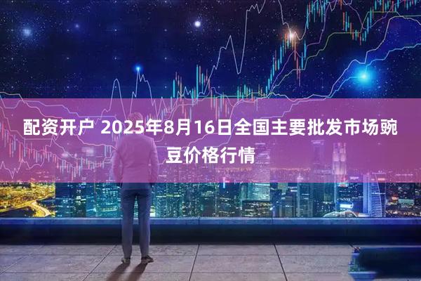 配资开户 2025年8月16日全国主要批发市场豌豆价格行情